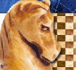Náhled k programu Mobile Chess